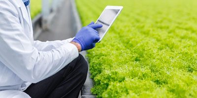 smart-agriculture-miniatura